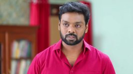 Sundhari Neeyum Sundharan Naanum S01E310 Velu Makes a Sacrifice Full Episode