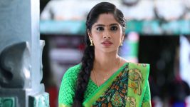 Sundhari Neeyum Sundharan Naanum S01E325 Tamizh's Extreme Efforts Full Episode