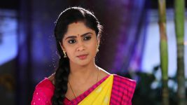 Sundhari Neeyum Sundharan Naanum S01E362 Saravanan Tackles the Problem Full Episode