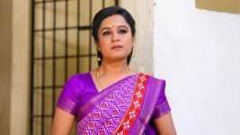 Sundhari Neeyum Sundharan Naanum S01E389 Urvasi Sets a Trap for Ezhil Full Episode