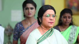 Sundhari Neeyum Sundharan Naanum S01E57 Vijaya Lakshmi's Stern Decision Full Episode