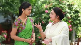 Sundhari Neeyum Sundharan Naanum S01E60 Vijaya Lakshmi's Wise Move Full Episode