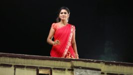 Sundhari Neeyum Sundharan Naanum S01E69 Tamizh Falls for Velu Full Episode