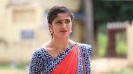 Sundhari Neeyum Sundharan Naanum S01E77 Tamizh Lashes Out at Vijaya Lakshmi Full Episode