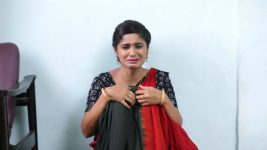Sundhari Neeyum Sundharan Naanum S01E95 Tamizh Is Heartbroken Full Episode