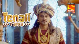 Tenali Rama S01E142 A Tiger On the Loose Full Episode