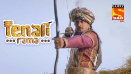 Tenali Rama S01E145 The Mysterious Tiger Full Episode