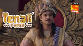 Tenali Rama S01E147 Tiger On The Loose Full Episode