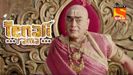 Tenali Rama S01E179 The Poison For A Lie Full Episode