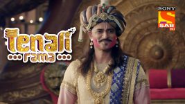 Tenali Rama S01E180 It's Holi Full Episode