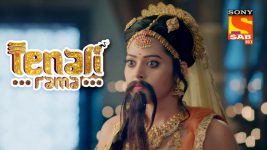 Tenali Rama S01E191 The Odd One In Full Episode