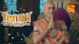 Tenali Rama S01E192 The Facial Hair Conundrum Full Episode