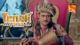 Tenali Rama S01E199 Greed for Gold Full Episode