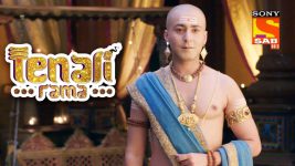 Tenali Rama S01E22 Timmarusu's Surprise Visit Full Episode