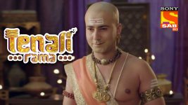 Tenali Rama S01E237 Tenali's Journey Begins Full Episode