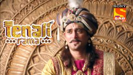 Tenali Rama S01E280 Tathacharya Embarrassed Full Episode