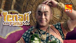 Tenali Rama S01E284 The Marriage Conundrum Full Episode