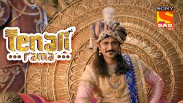 Tenali Rama S01E45 The Talking Parrot Full Episode