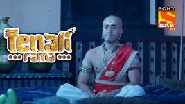 Tenali Rama S01E83 Rooster Crowing Full Episode