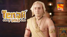 Tenali Rama S01E99 War Of Intelligence Full Episode