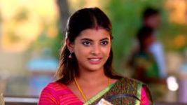 Thavamai Thavamirundhu S01E100 11th August 2022 Full Episode