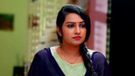Thavamai Thavamirundhu S01E101 12th August 2022 Full Episode
