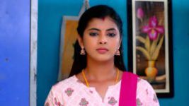 Thavamai Thavamirundhu S01E103 16th August 2022 Full Episode