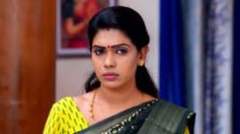 Thavamai Thavamirundhu S01E155 19th October 2022 Full Episode