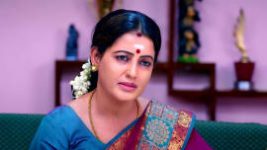 Thavamai Thavamirundhu S01E17 6th May 2022 Full Episode