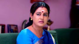Thavamai Thavamirundhu S01E20 10th May 2022 Full Episode