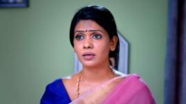Thavamai Thavamirundhu S01E23 13th May 2022 Full Episode