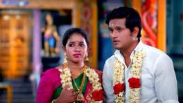 Thavamai Thavamirundhu S01E57 22nd June 2022 Full Episode
