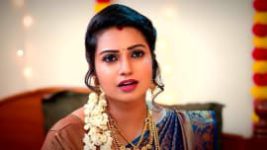 Thavamai Thavamirundhu S01E65 1st July 2022 Full Episode