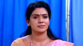 Thavamai Thavamirundhu S01E75 13th July 2022 Full Episode