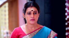 Thavamai Thavamirundhu S01E80 19th July 2022 Full Episode