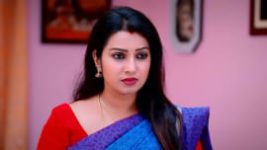 Thavamai Thavamirundhu S01E81 20th July 2022 Full Episode