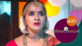 Thinkal Kalaman S01E247 1st November 2021 Full Episode