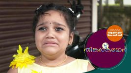 Thinkal Kalaman S01E255 10th November 2021 Full Episode