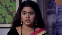 To Pain Mu S01E542 22nd November 2019 Full Episode