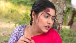 To Pain Mu S01E789 1st December 2020 Full Episode