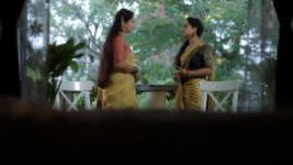 Trinayani (Kannada) S01E206 16th October 2021 Full Episode