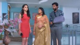 Trinayani (Kannada) S01E250 29th November 2021 Full Episode