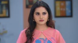 Trinayani (Kannada) S01E256 5th December 2021 Full Episode