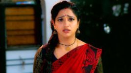 Trinayani (Kannada) S01E310 28th January 2022 Full Episode