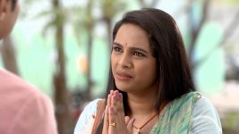 Tu Chandane Shimpit Jashi S01E95 They Are In Love Full Episode