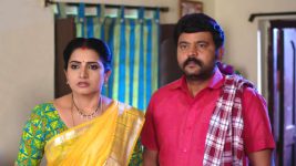 Vadinamma S01E171 Surprise for Raghuram, Sita Full Episode