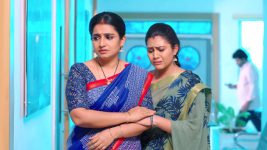 Vadinamma S01E583 Another Problem for Sita's Family Full Episode