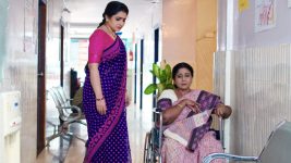 Vadinamma S01E800 Sita Expresses Her Doubts Full Episode