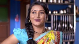 Vaiju No 1 S01E23 Vaiju Plans a Gatari Party Full Episode