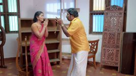 Vandhaal Sridevi S01E250 3rd April 2019 Full Episode